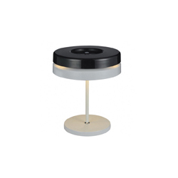 Toric Table Light 五金简约台灯 Toric Table Light